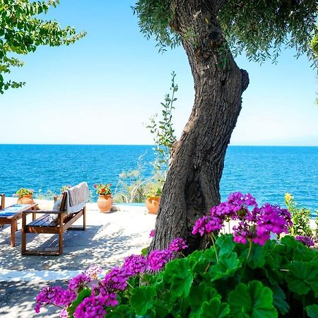 Апартаменты Skala Mare Скала-Марион Экстерьер фото